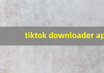 tiktok downloader apk